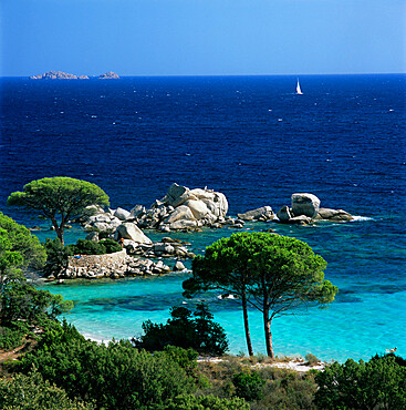 Palombaggia Beach, near Porto Vecchio, South East Corsica, Corsica, France, Mediterranean, Europe