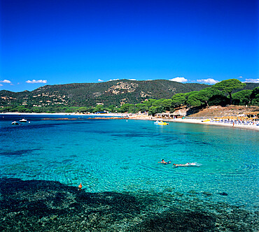 Palombaggia Beach, near Porto Vecchio, South East Corsica, Corsica, France, Mediterranean, Europe