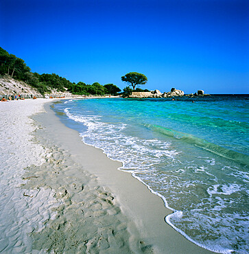 Palombaggia Beach, near Porto Vecchio, South East Corsica, Corsica, France, Mediterranean, Europe