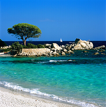 Palombaggia Beach, near Porto Vecchio, South East Corsica, Corsica, France, Mediterranean, Europe