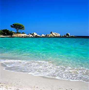 Palombaggia Beach, near Porto Vecchio, South East Corsica, Corsica, France, Mediterranean, Europe