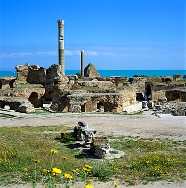 Ruins of ancient Roman baths, Antonine Baths, Carthage, UNESCO World Heritage Site, Tunis, Tunisia, North Africa, Africa