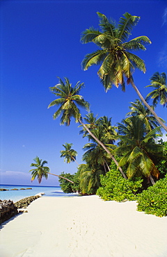 Beach at Nakatchafushi, North Male Atoll, Maldives