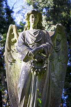 Angel holding wreath, Highgate Cemetery west, London, England, United Kingdom, Europe