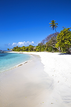 Petit St. Vincent, The Grenadines, St. Vincent and The Grenadines, West Indies, Caribbean, Central America