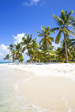 Petit Bateau, Tobago Cays, The Grenadines, St. Vincent and The Grenadines, West Indies, Caribbean, Central America