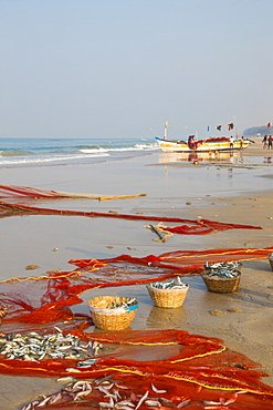 Men fishing with net, Colva Beach, Goa, India, Asia