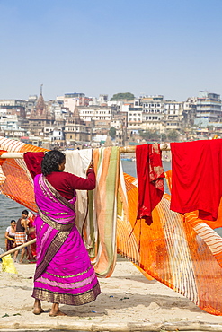 Hanging up washing on banks of Ganges River, Varanasi, Uttar Pradesh, India, Asia