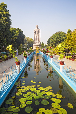 Thai temple and monastery, Sarnath, Uttar Pradesh, India, Asia