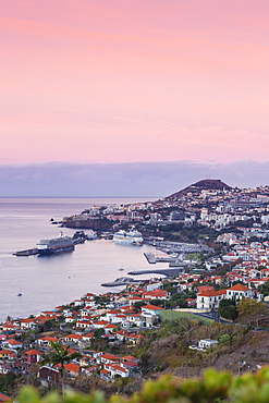 View of Funchal looking towards harbour, Funchal, Madeira, Portugal, Atlantic, Europe