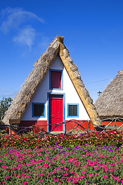 Traditional houses with steep, triangular-shaped thatched roofs, Santana, Madeira, Portugal, Atlantic, Europe