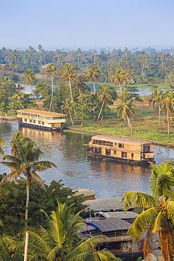 Houseboats on Backwaters, Alappuzha (Alleppey), Kerala, India, Asia