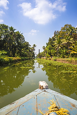 Backwaters, Alappuzha (Alleppey), Kerala, India, Asia