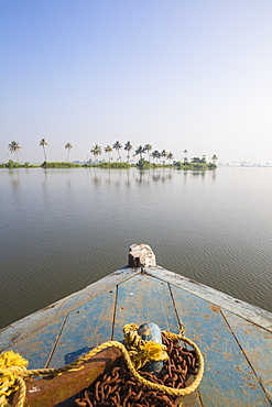 Backwaters, Alappuzha (Alleppey), Kerala, India, Asia