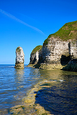 Flamborough Head, Yorkshire, England, United Kingdom, Europe