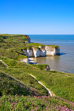 Flamborough Head, Yorkshire, England, United Kingdom, Europe