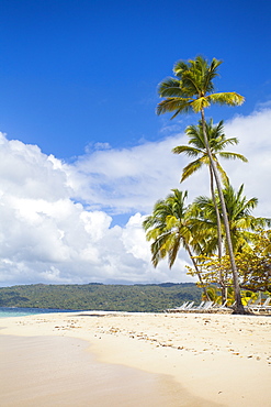 Cayo Levantado, Samana, Eastern Peninsula de Samana, Dominican Republic, West Indies, Caribbean, Central America