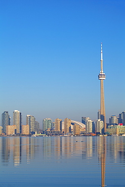 View of CN Tower and city skyline, Toronto, Ontario, Canada, North America