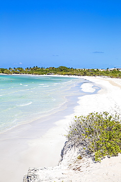 Playa Larga, Cayo Coco, Jardines del Rey, Ciego de Avila Province, Cuba, West Indies, Caribbean, Central America