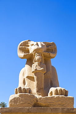 Avenue of Sphinxes, Luxor Temple, UNESCO World Heritage Site, Luxor, Egypt, North Africa, Africa