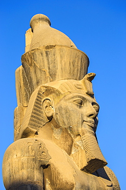 Colossi of Ramesses II in The First Court, Luxor Temple, UNESCO World Heritage Site, Luxor, Egypt, North Africa, Africa