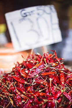 Spicy red chillies, Kandy, Central Province in the Sri Lanka Highlands, Sri Lanka, Asia