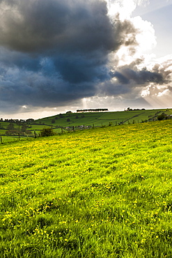 Countryside around Bath, Avon and Somerset, England, United Kingdom, Europe 