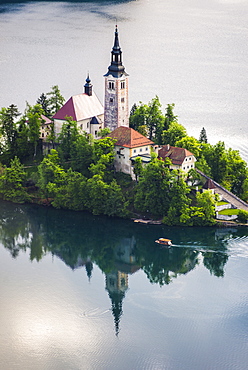 Lake Bled boat (Pletna) at Lake Bled Island at sunrise, Gorenjska, Slovenia, Europe