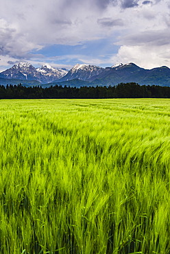 Kamnik Alps seen from near Kranj, Slovenia, Europe