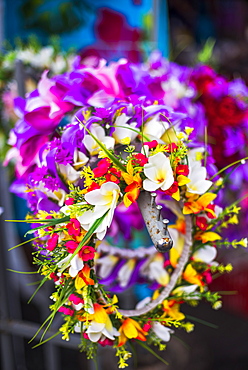 Lei (necklace of flowers) for sale at Rarotonga Saturday Market (Punanga Nui Market), Avarua Town, Cook Islands, South Pacific, Pacific