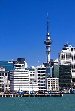 Auckland Sky Tower and city skyline, North Island, New Zealand, Pacific