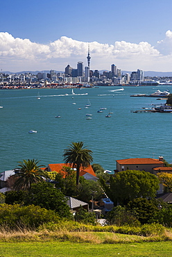 Auckland City skyline and Auckland Harbour seen from Devenport, North Island, New Zealand, Pacific