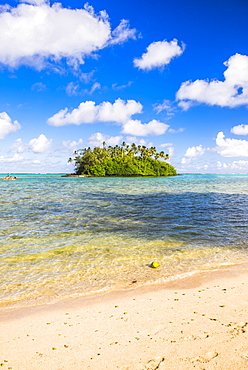 Tropical Island of Motu Taakoka covered in palm trees in Muri Lagoon, Rarotonga, Cook Islands, South Pacific, Pacific