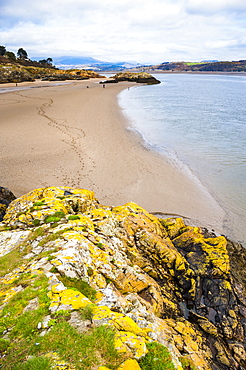 Borth Y Gest Beach, Snowdonia National Park, Gwynedd, North Wales, Wales, United Kingdom, Europe