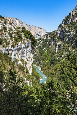 Verdon Gorge (Grand Canyon du Verdon), Alpes de Haute Provence, South of France, Europe