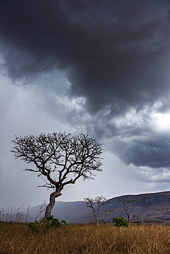 Stormy landscape, Ambalavao, Haute Matsiatra Region, Madagascar, Africa