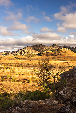 Isalo National Park landscape at sunrise, Ihorombe Region, Madagascar, Africa