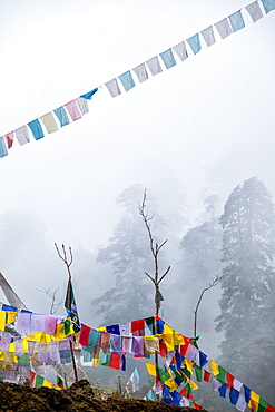 Prayer flags hung to carry people's prayers throughout the land of Bhutan, Asia