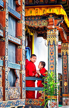 Novice Buddhist monks, Chimi Lhakhang Monastery, also known as the Fertility Temple, Punakha District, Bhutan, Asia