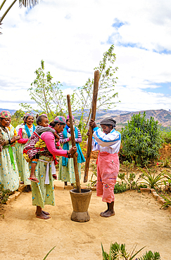 Malagasy women pounding corn in the highlands, Madagascar.