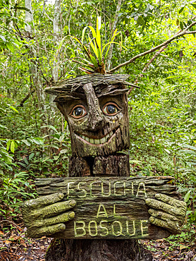 Carved wooden statues at the Dallas Manatee Rescue Center, Iquitos, Peru.