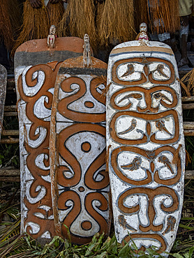 Shield detail from the village of Per where people perform a greeting ceremony, Asmat Region, Papua, Indonesia.