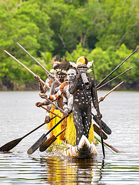 Male paddlers from the village of Uwus perform in a ritualistic greeting ceremony, Asmat Region, Papua, Indonesia.