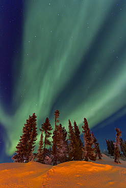 Aurora Borealis, or Northern Lights, over the boreal forest on the Great Slave Lake, Northwest Territories, Canada.