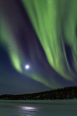 Aurora Borealis, or Northern Lights, over the boreal forest on the Great Slave Lake, Northwest Territories, Canada.