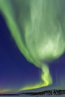 Aurora Borealis, or Northern Lights, over the boreal forest on the Great Slave Lake, Northwest Territories, Canada.
