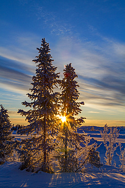 Sunrise over the boreal forest on the Great Slave Lake north of Yellowknife, Northwest Territories, Canada.