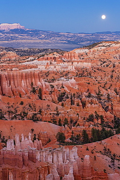 Moonrise over Bryce Canyon Amphitheater from Sunrise Point, Bryce Canyon National Park, Utah, United States of America, North America 