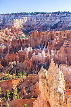 Hoodoo rock formations in Bryce Canyon Amphitheater, Bryce Canyon National Park, Utah, United States of America, North America 