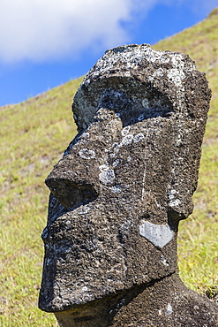 Rano Raraku, the quarry site for all moai statues on Easter Island (Isla de Pascua) (Rapa Nui), UNESCO World Heritage Site, Chile, South America